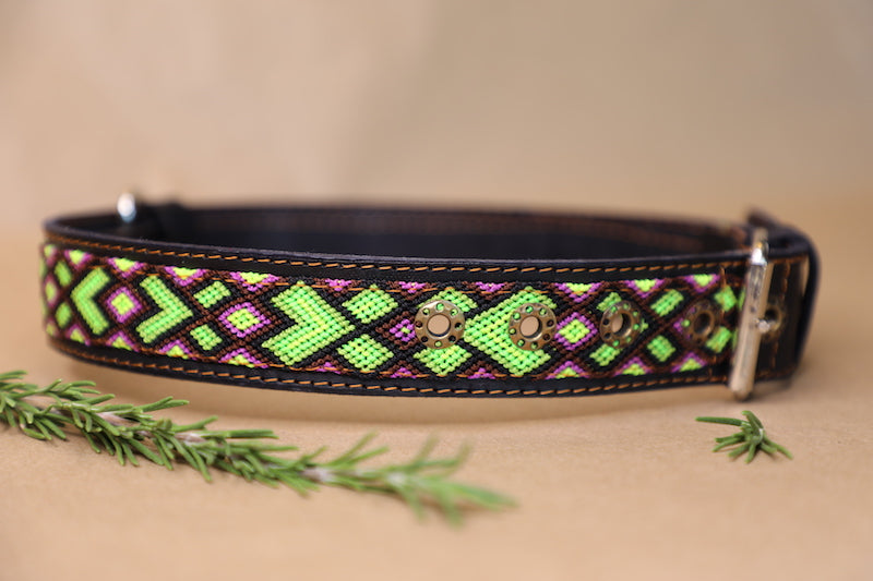 Fox Dog Collar