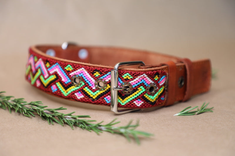 Bob Dog Collar