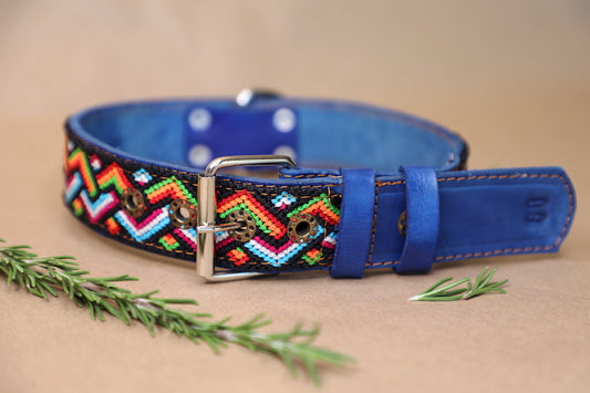 Stivie Dog Collar