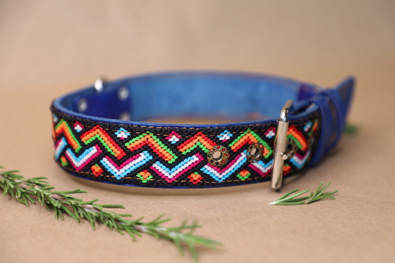 Stivie Dog Collar