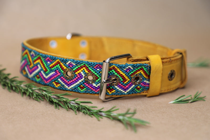 Twyla Dog Collar