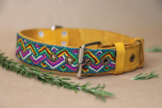 Twyla Dog Collar