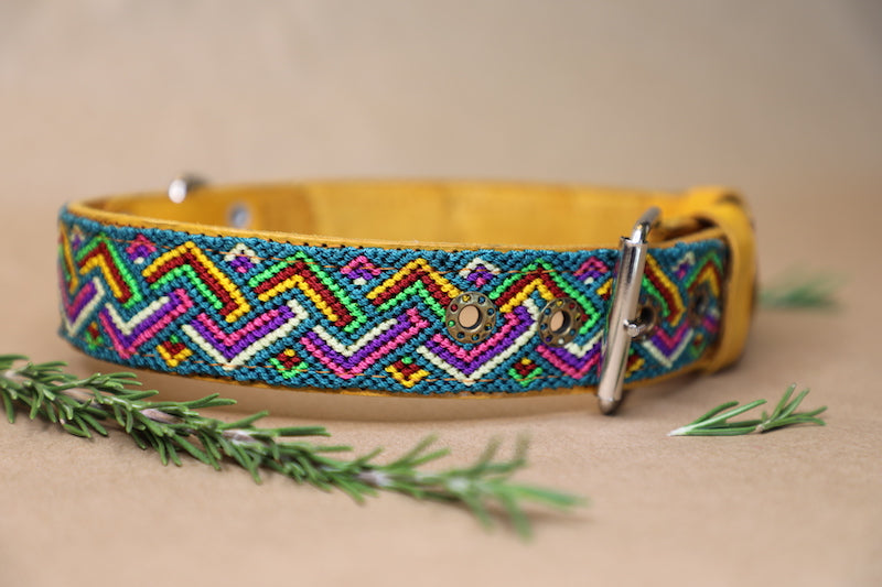 Twyla Dog Collar