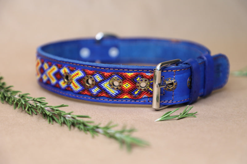 Johnny Dog Collar