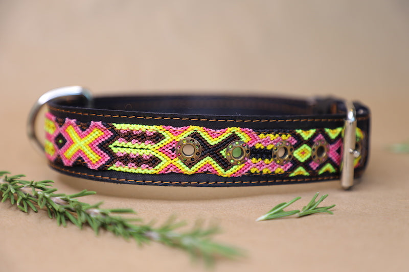 Juliette Dog Collar