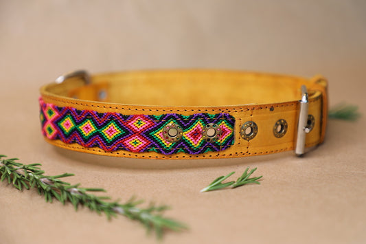 Taco Dog Collar