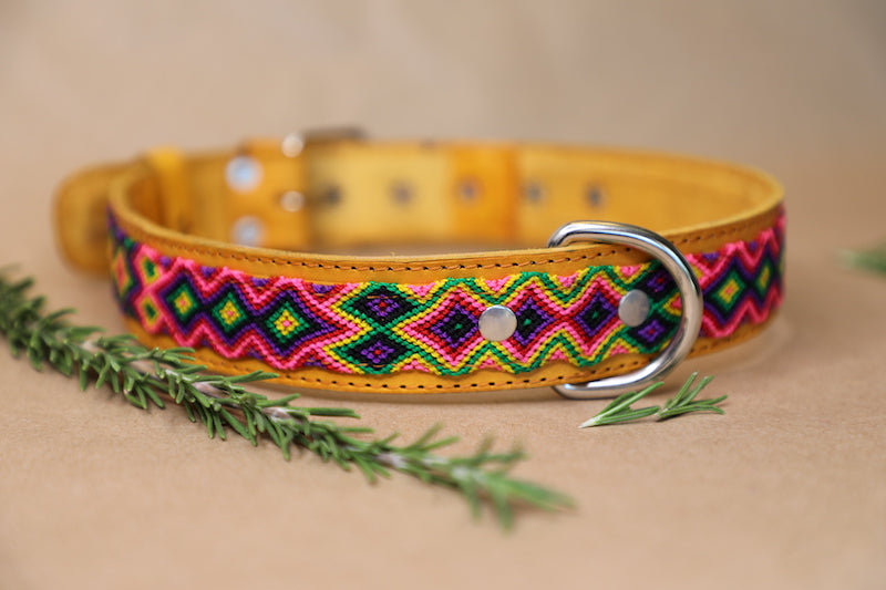 Taco Dog Collar