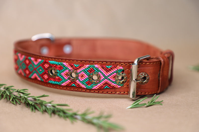 Lua Dog Collar