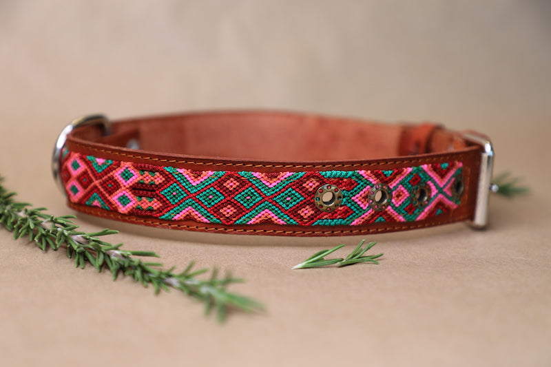 Lua Dog Collar