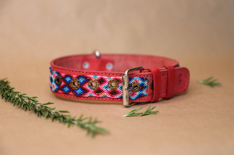 Luca Dog Collar