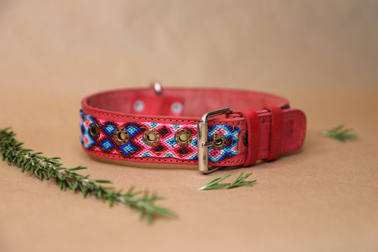 Luca Dog Collar