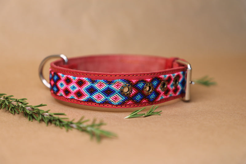 Luca Dog Collar