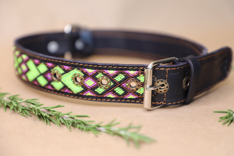 Fox Dog Collar