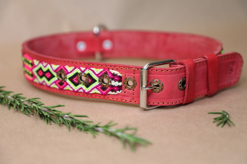 Rumi Dog Collar