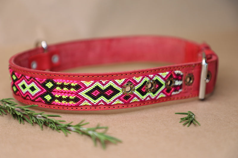 Rumi Dog Collar