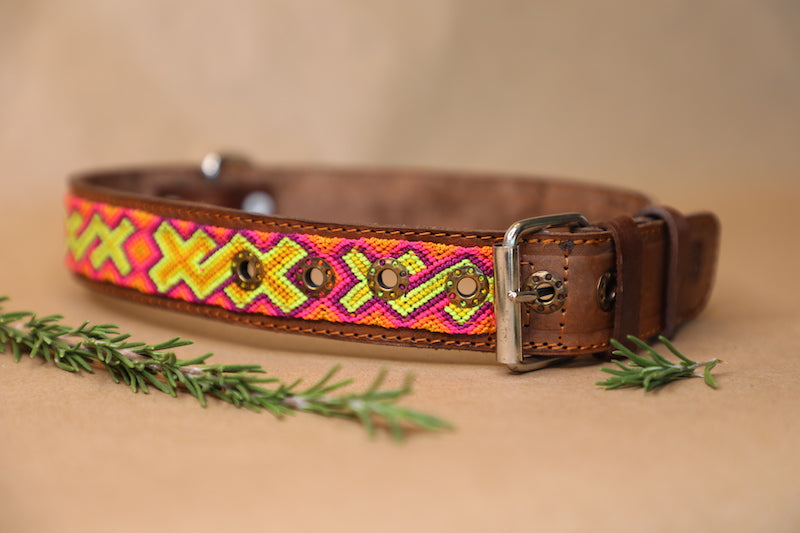 Zuki Dog Collar