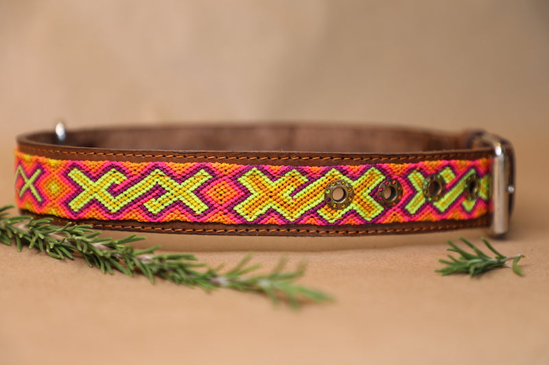 Zuki Dog Collar